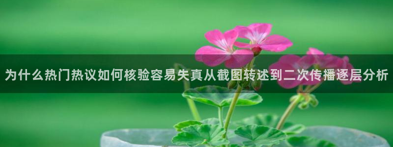 51吃瓜网下载：为什么热门热议如何核验容易失真从截图转述到二次传播逐层分析
