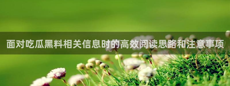 51吃瓜网页版:面对吃瓜黑料相关信息时的高效阅读思路和注意事项
