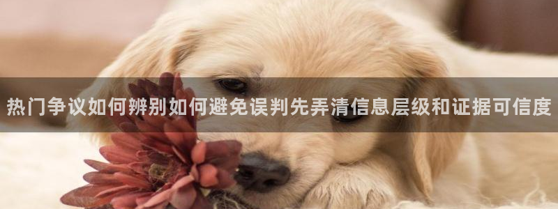吃瓜在线观看：热门争议如何辨别如何避免误判先弄清信息层级和证据可信度