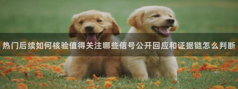 吃瓜群:热门后续如何核验值得关注哪些信号公开回应和证据链怎么判断