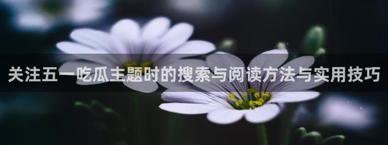 吃瓜网站