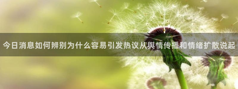 吃瓜网