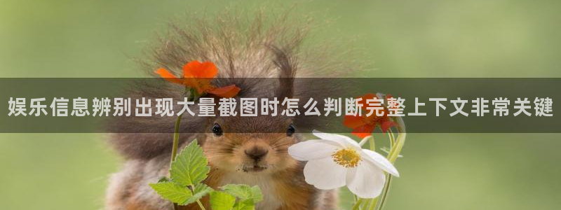 今日吃瓜:娱乐信息辨别出现大量截图时怎么判断完整上下文非常关键